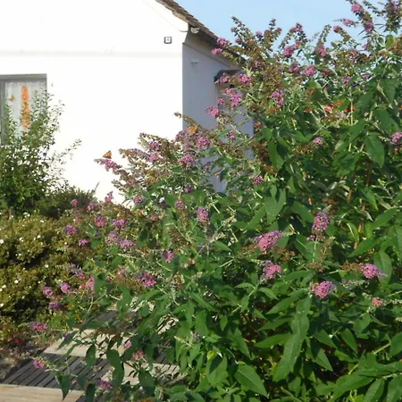 アパート Maurer *